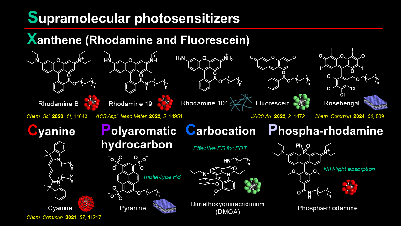 Supramolecular Photomedicine